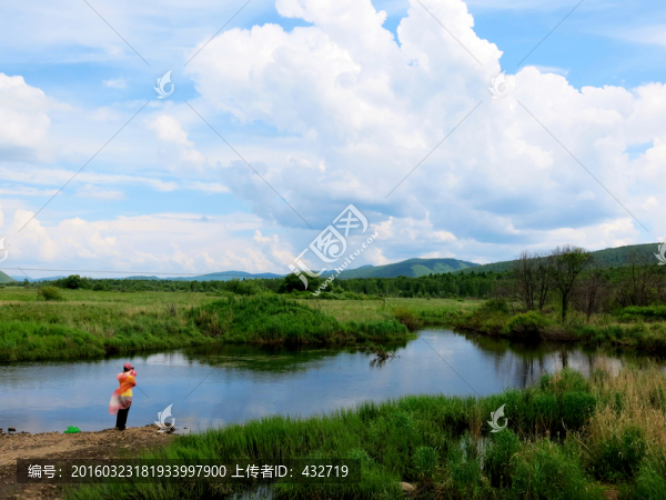 夏季的大興安嶺濕地