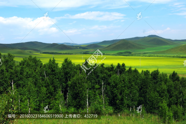 夏季大興安嶺田野風(fēng)光