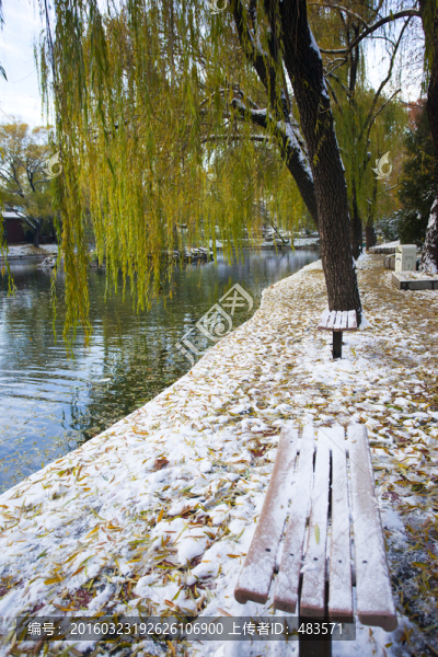 雪景