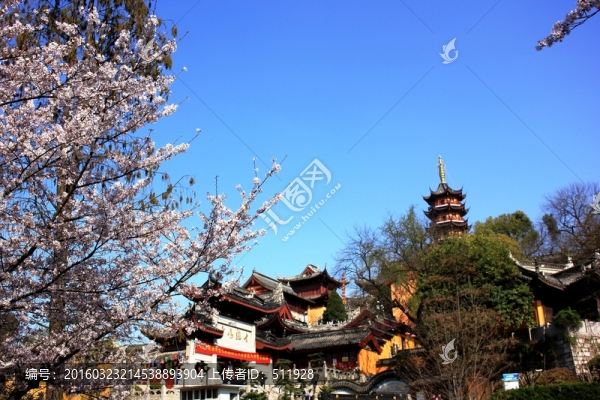 櫻花