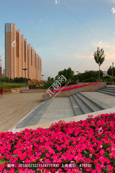 大慶建筑,樓房,沿湖城,地標(biāo)