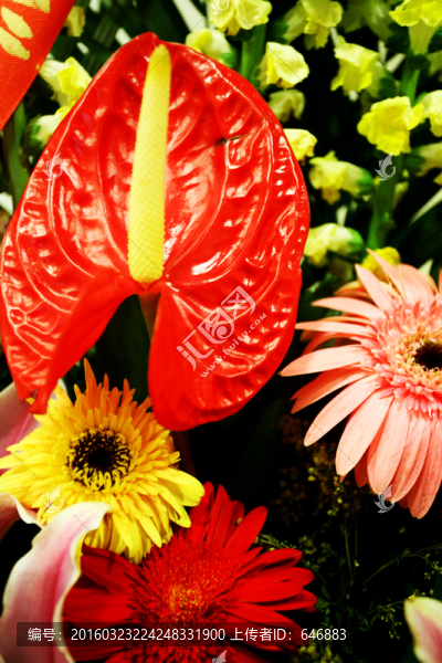 鮮花