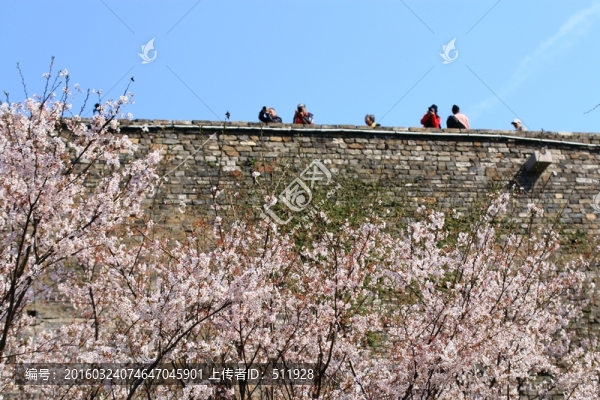 櫻花
