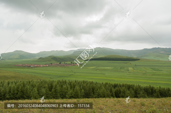 草原
