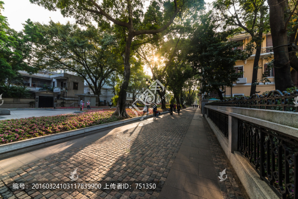 廣州夕陽下的沙面大街