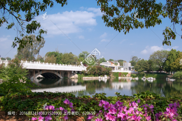 景區(qū)園林建筑