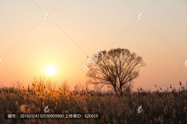 濕地夕陽