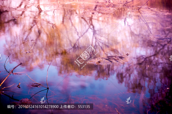 玉淵潭