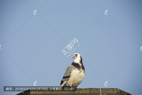 孤單
