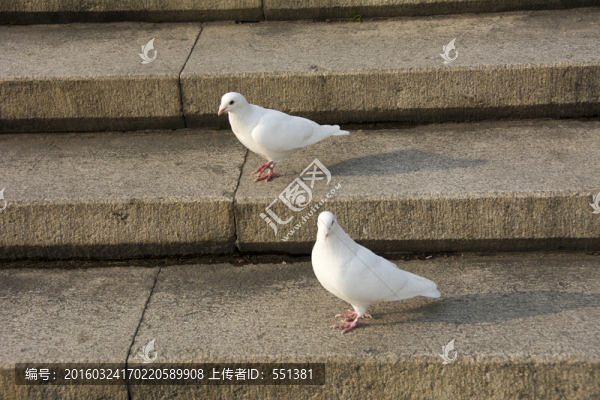 散步