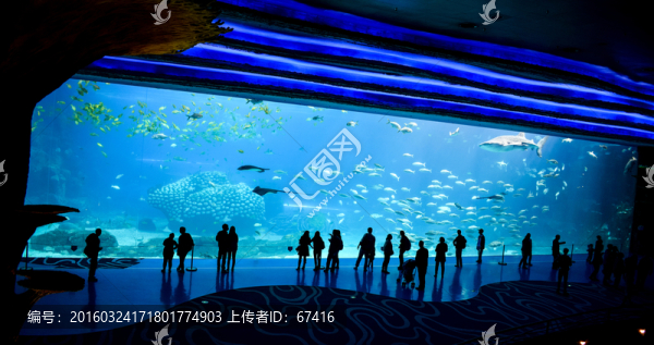 海洋王國