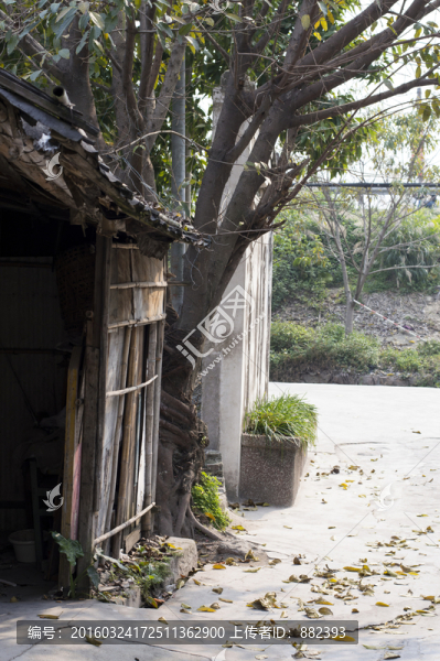 門前灑落的陽(yáng)光