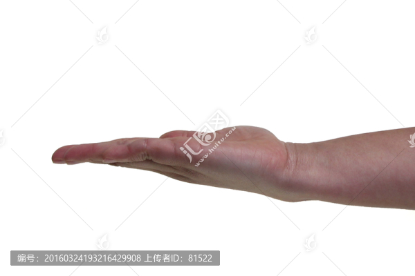 手心