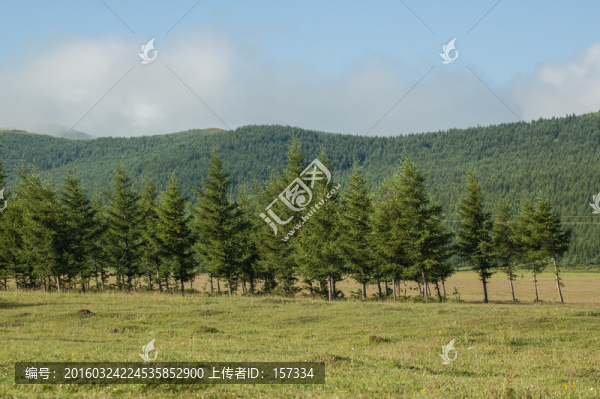 草原林區(qū)