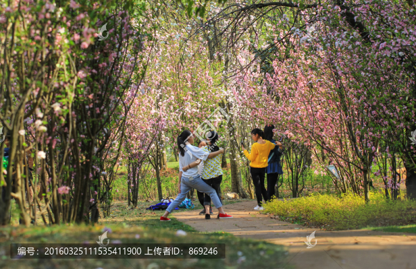 陽光花開園林