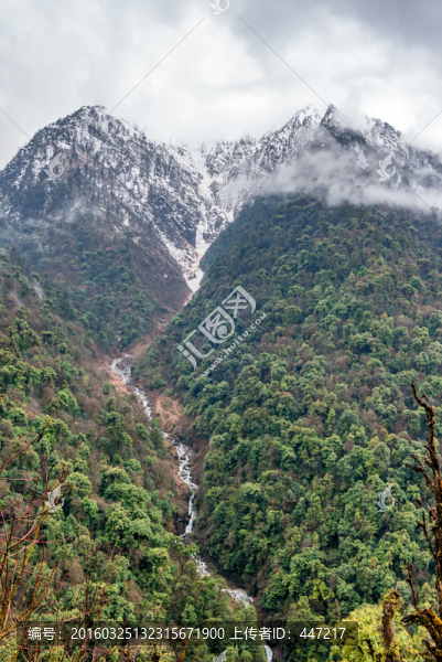 高黎貢山風(fēng)光