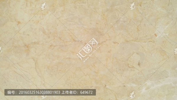 金葉米黃