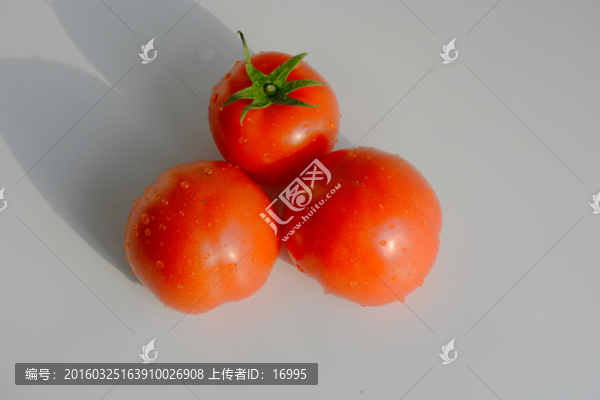 西紅柿素材