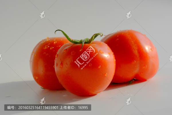西紅柿