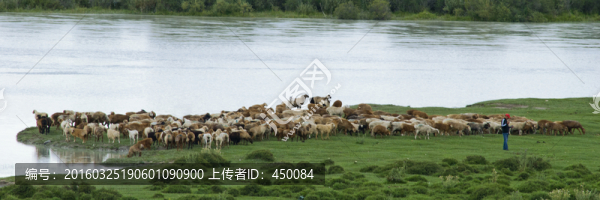 牧羊曲