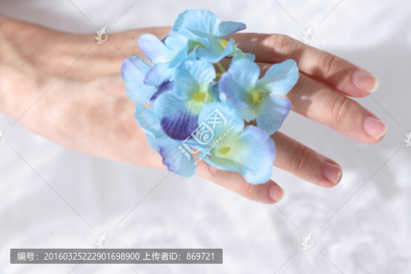 在手背的花瓣