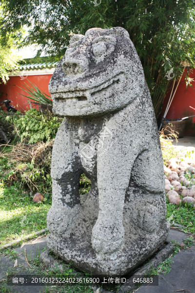 石虎