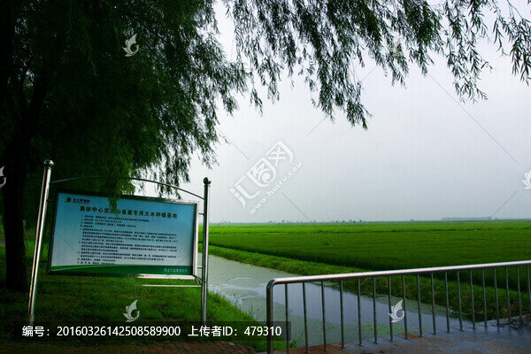 農(nóng)田,水利,水渠,水利工程