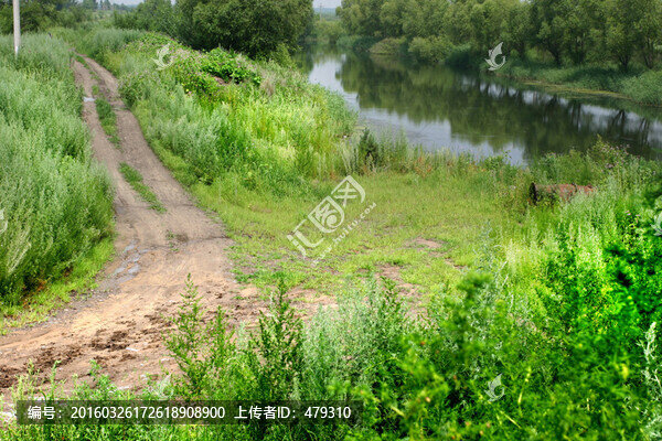農(nóng)田,水利,水渠,水利工程