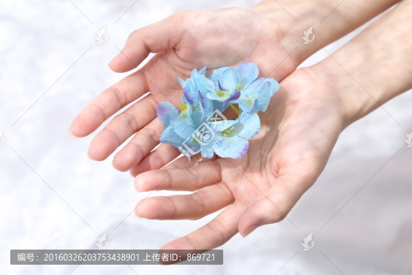 捧花瓣的雙手