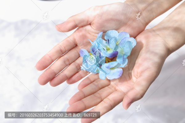捧花瓣的雙手