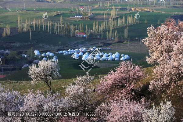 田園春色