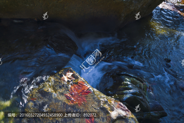 溪流,落葉,廬山