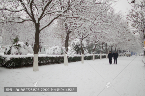 雪景,行人