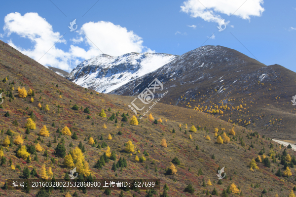 新都橋風(fēng)光