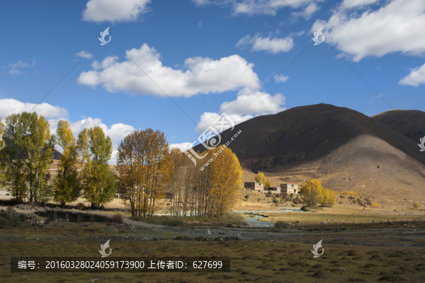 新都橋風光