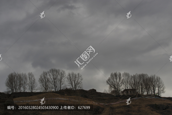 一排樹