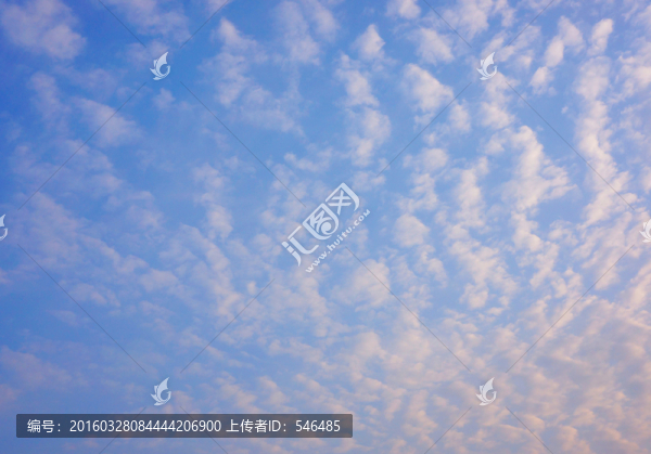 魚麟云,清晨