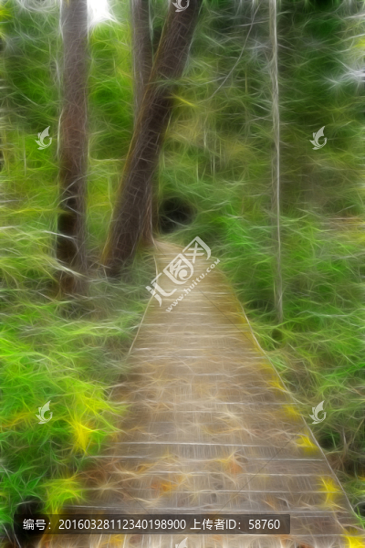 電腦畫(huà),森林小路