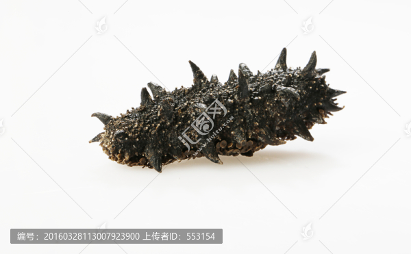 海參,遼參,刺參,干參