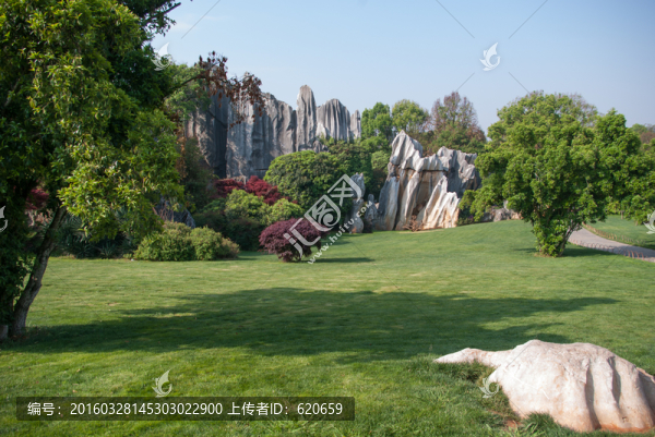 石林景區(qū)草地
