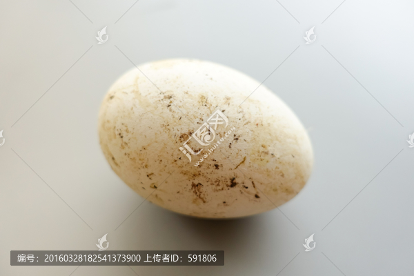 鵝蛋