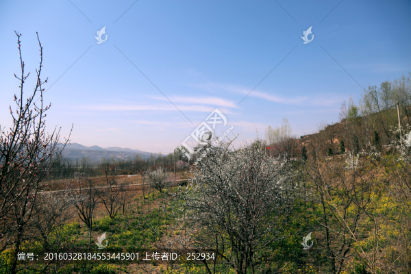 田園風(fēng)景
