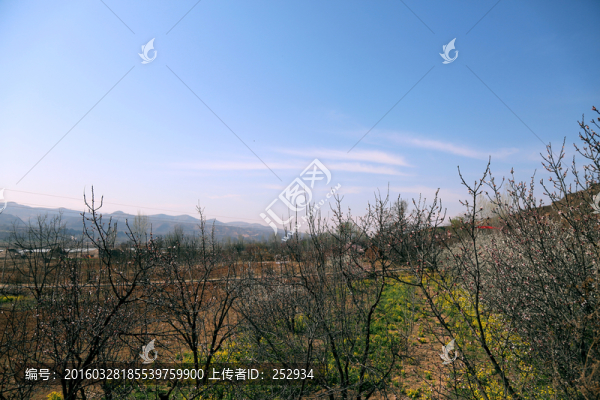 田園春色