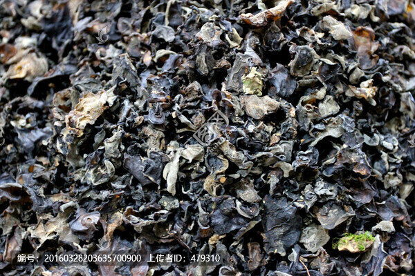 山珍,干菜,木耳,美食,菌類
