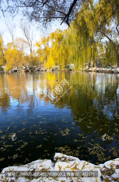 秋景