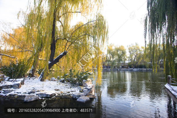 秋景