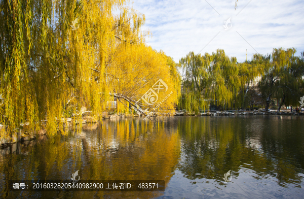 秋景
