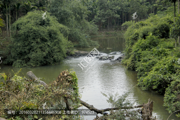 山間小溪