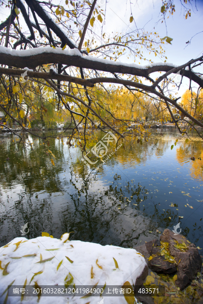 秋景