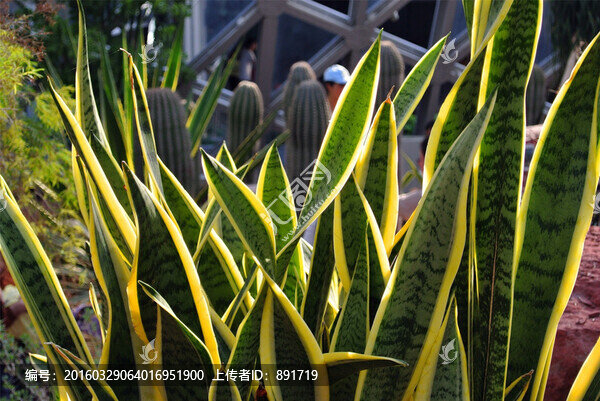 辰山植物園